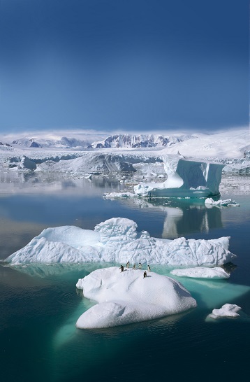 קרחונים באנטארקטיקה (יח"ץ Ponant)