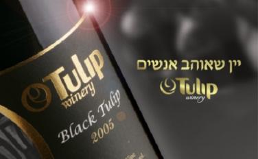 יקב טוליפ / Black Tulip